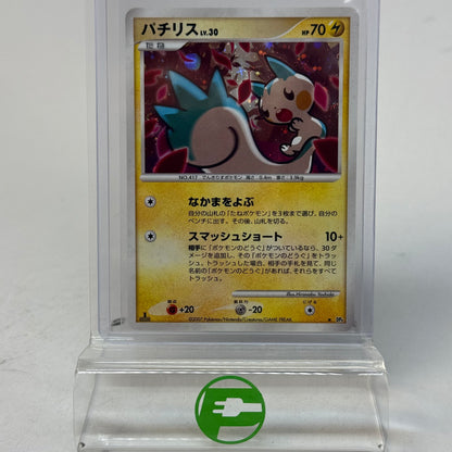 Pokémon TCG Dawn Dash Pachirisu DP4 1st Edition Japanese